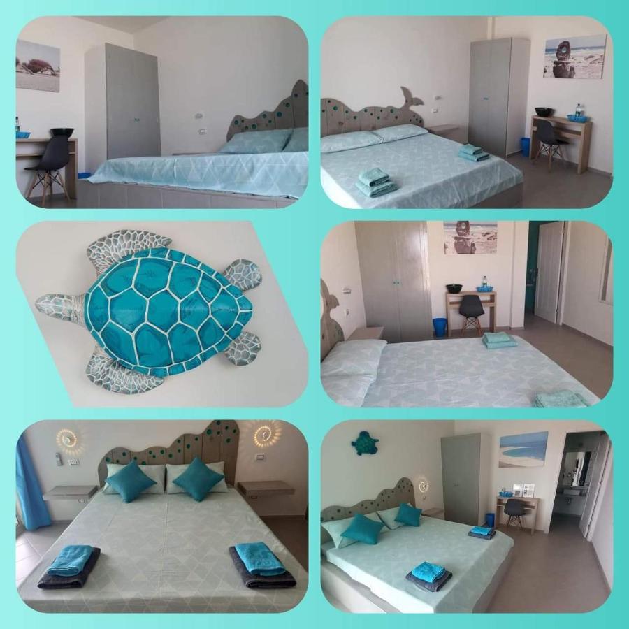 سال راي B&B Sereia Azul Boa Vista المظهر الخارجي الصورة