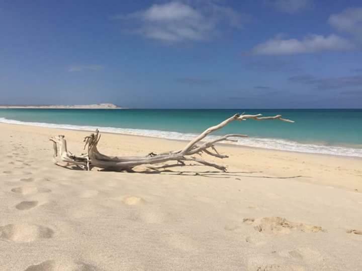 سال راي B&B Sereia Azul Boa Vista المظهر الخارجي الصورة
